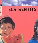 SENTITS , ELS | 9788424602727 | PORTELL RIFÀ, JOAN/ARÀNEGA, SUSANNA