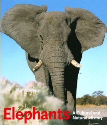 ELEPHANTS | 9783829017527 | GRONING