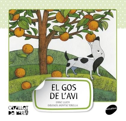 GOS DE L'AVI, EL | 9788415095507 | LLUCH, ENRIC