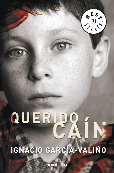 QUERIDO CAIN | 9788483465899 | GARCIA-VALIÑO, IGNACIO