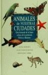 ANIMALES DE NUESTRAS CIUDADES | 9788408020233 | OMEDES/SENAR/URIBE