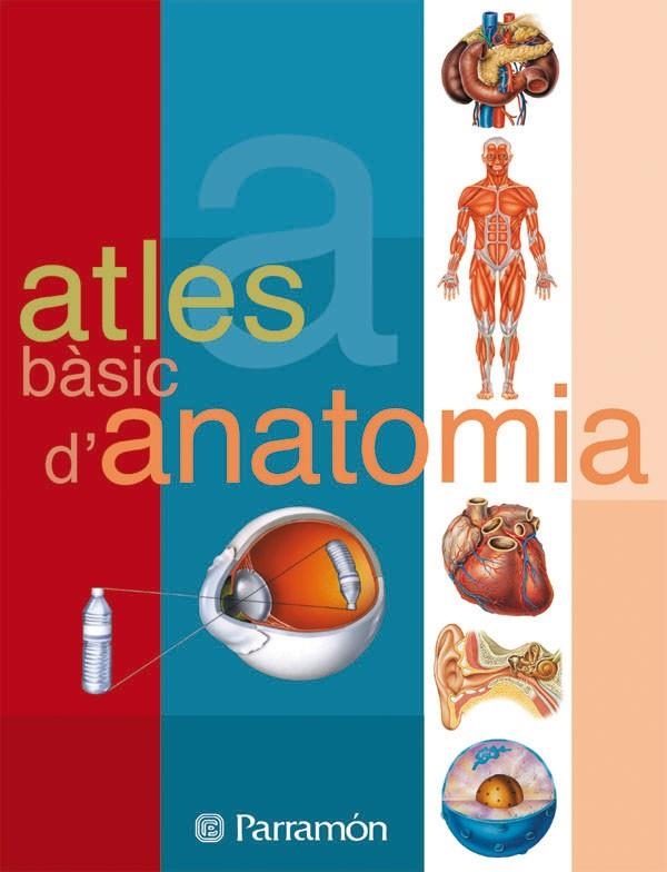 ATLES D'ANATOMIA (R) ATLES TEMATICS | 9788434223134