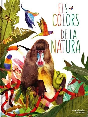 ELS COLORS DE LA NATURA | 9788413342320 | AA.VV.