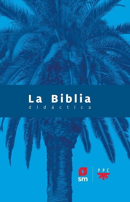 LA BIBLIA DIDÁCTICA - 2020 | 9788413183039 | AA.VV