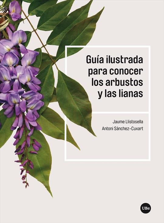 GUÍA ILUSTRADA PARA CONOCER LOS ARBUSTOS Y LAS LIANAS | 9788491684275 | LLISTOSELLA VIDAL, JAUME / SÀNCHEZ-CUXART, ANTONI