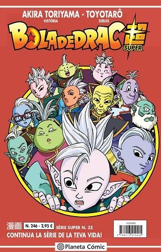 BOLA DE DRAC SÈRIE VERMELLA Nº 246 | 9788413410425 | TORIYAMA, AKIRA / VIZ MEDIA