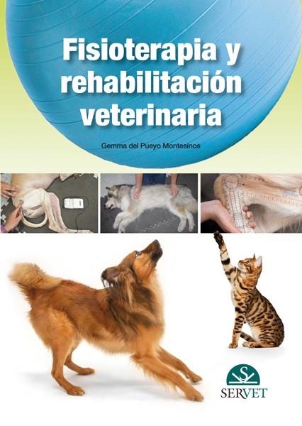 FISIOTERAPIA Y REHABILITACIÓN | 9788492569632 | DEL PUEYO MONTESINOS, GEMMA