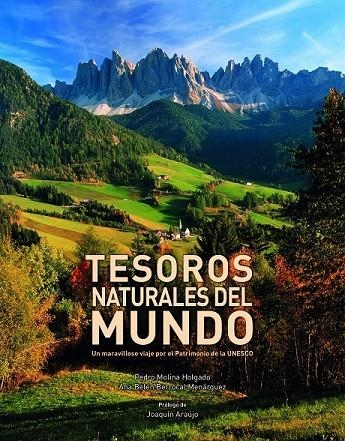 TESOROS NATURALES DEL MUNDO | 9788416177264 | PEDRO MOLINA HOLGADO/ANA BELÉN BERROCAL MENÁRGUEZ