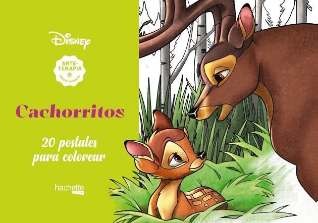 ARTETERAPIA. CACHORRITOS DISNEY | 9788417586560 | DISNEY