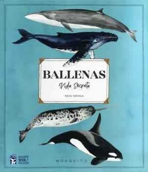 BALLENAS VIDA SECRETA | 9788412247947 | ORTEGA, RENA