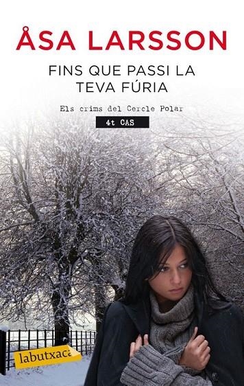 FINS QUE PASSI LA TEVA FURIA | 9788499306353 | LARSSON, ASA