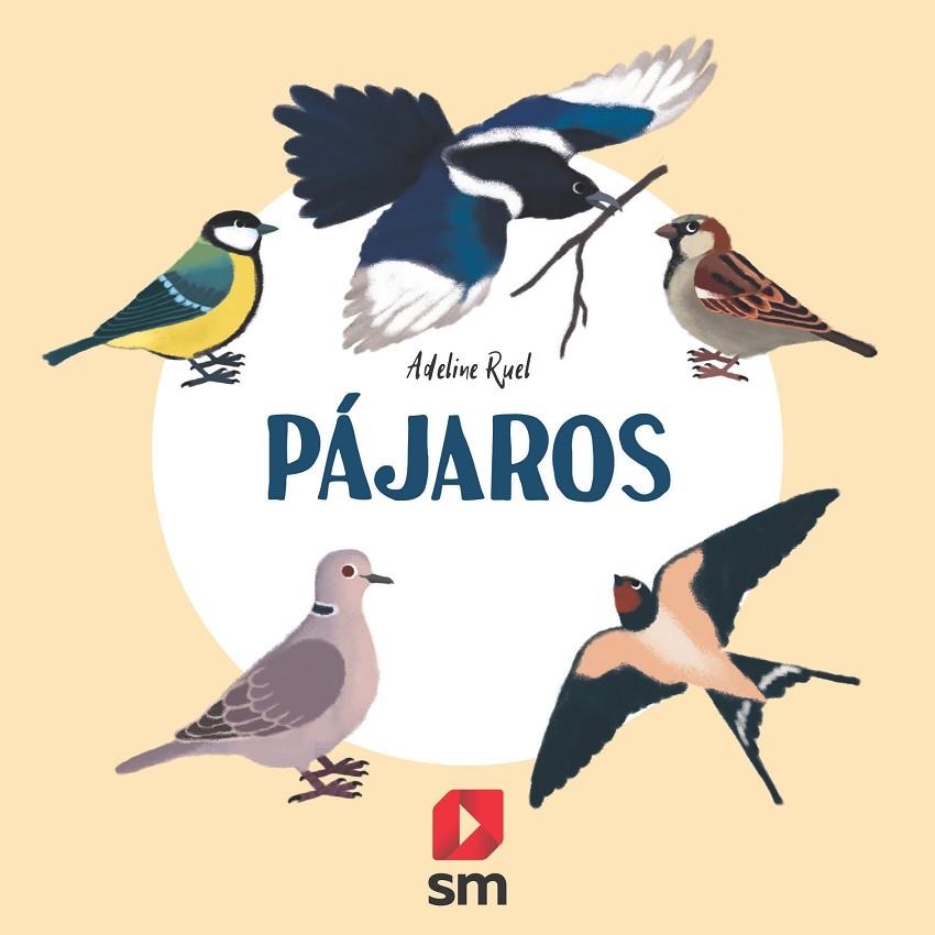 PÁJAROS | 9788413188607 | RUEL, ADELINE