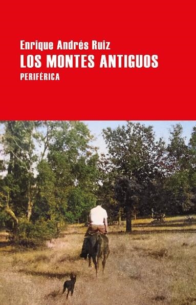 MONTES ANTIGUOS, LOS | 9788418838071 | ANDRÉS RUIZ, ENRIQUE