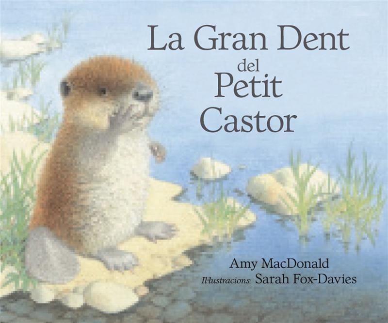 GRAN DENT DEL PETIT CASTOR, LA | 9788493933944 | MC DONALD, AMI / FOX DAVIES,SARAH