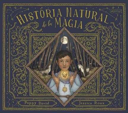 HISTÒRIA NATURAL DE LA MÀGIA | 9788418279874 | DAVID, POPPY