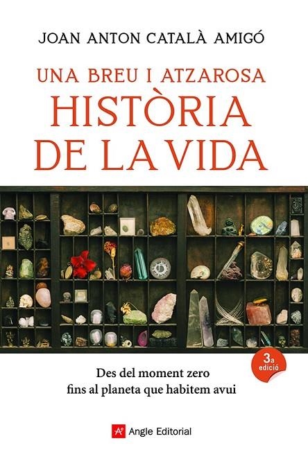 UNA BREU I ATZAROSA HISTÒRIA DE LA VIDA | 9788418197956 | CATALÀ AMIGÓ, JOAN ANTON