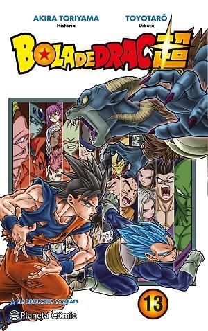 BOLA DE DRAC SUPER Nº 13 | 9788491730323 | TORIYAMA, AKIRA / TOYOTARÔ