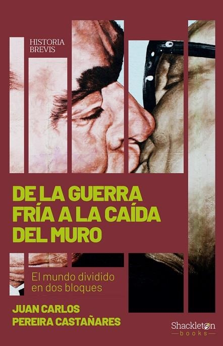 DE LA GUERRA FRÍA A LA CAÍDA DEL MURO | 9788413611280 | PEREIRA CASTAÑARES, JUAN CARLOS