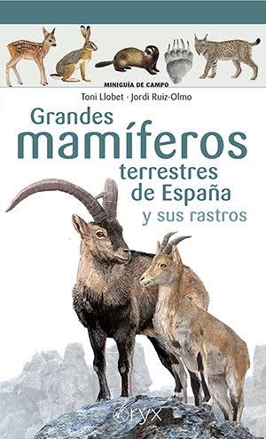 GRANDES MAMÍFEROS TERRESTRES DE ESPAÑA Y SUS RASTROS | 9788418735073 | LLOBET FRANÇOIS, TONI / RUIZ-OLMO , JORDI