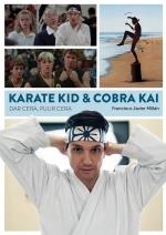 KARATE KID & COBRA KAI DAR CERA PULIR CERA | 9788418320583 | MILLAN,FRANCISCO JAVIER