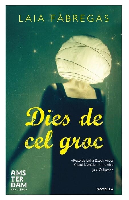 DIES DE CEL GROC | 9788492941988 | FÀBREGAS FERRÚS, LAIA