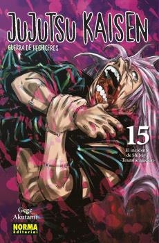 JUJUTSU KAISEN 15 | 9788467949872 | GEGE AKUTAMI / KOYOHARU GOTOUGE