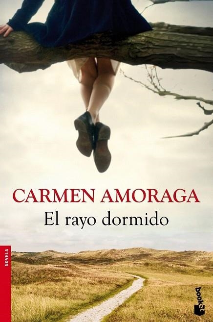 RAYO DORMIDO, EL | 9788423346714 | AMORAGA, CARMEN 