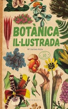 BOTÀNICA IL·LUSTRADA | 9788419095091 | SORIA, CARMEN