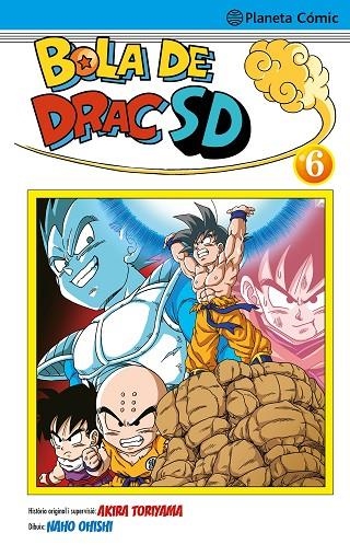 BOLA DE DRAC SD Nº 06 | 9788491746690 | TORIYAMA, AKIRA / OHISHI, NAHO