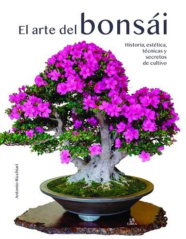 EL ARTE DEL BONSÁI | 9788466242134 | RICCHIARI, ANTONIO