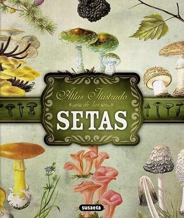 ATLAS ILUSTRADO DE LAS SETAS | 9788467722871 | BECKER, GEORGES / AAVV