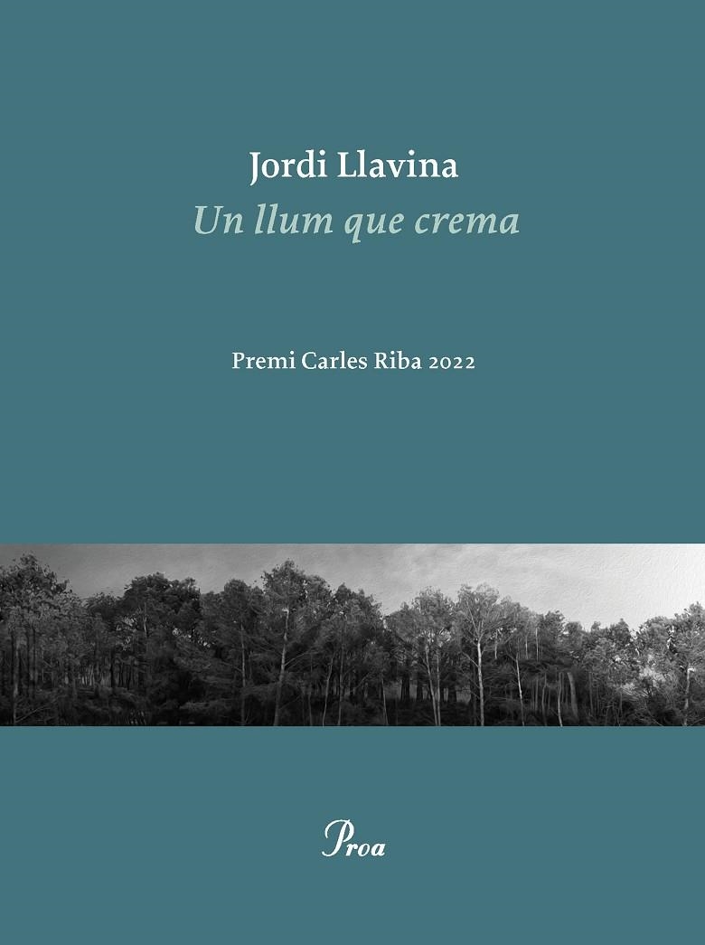 UN LLUM QUE CREMA | 9788475889979 | LLAVINA, JORDI