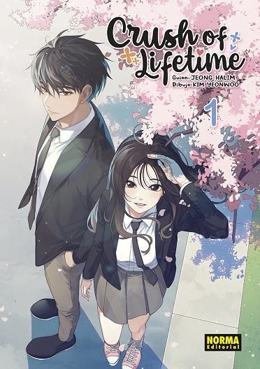 CRUSH OF LIFETIME 01 | 9788467958164 | HALIM,JEONG-YEONWOO,KIM