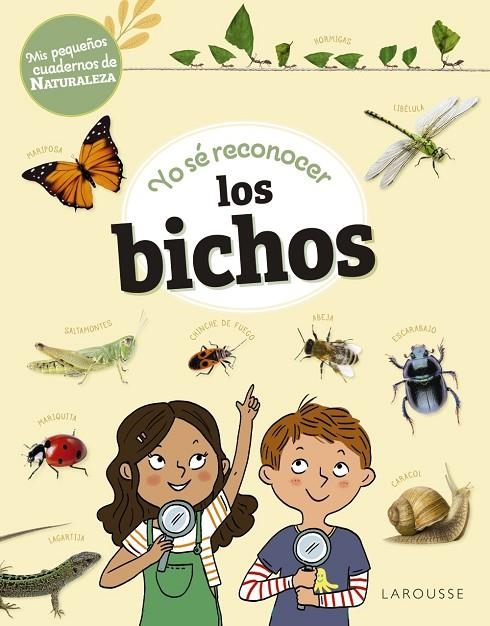 YO SÉ RECONOCER LOS BICHOS | 9788419436276 | LEBRUN, SANDRA