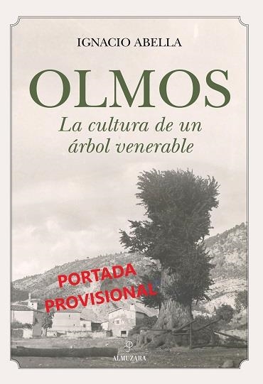 OLMOS. LA CULTURA DE UN ÁRBOL VENERABLE | 9788411313902 | ABELLA, IGNACIO