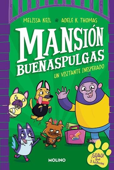 MANSIÓN BUENASPULGAS 1 - UN VISITANTE INESPERADO | 9788427233324 | KEIL, MELISSA