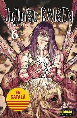 JUJUTSU KAISEN 06 CATALA | 9788467957600 | GEGE AKUTAMI