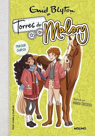 TORRES DE MALORY 3 - TERCER CURSO (NUEVA EDICIÓN CON CONTENIDO INÉDITO) | 9788427234239 | BLYTON, ENID