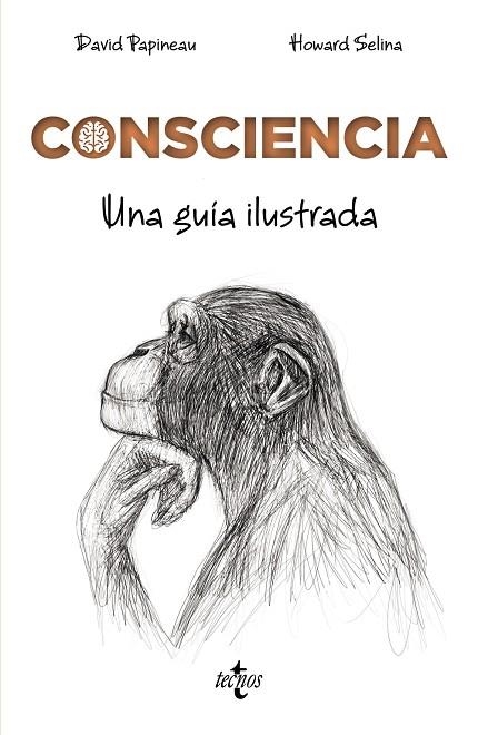 CONSCIENCIA | 9788430976072 | PAPINEAU, DAVID