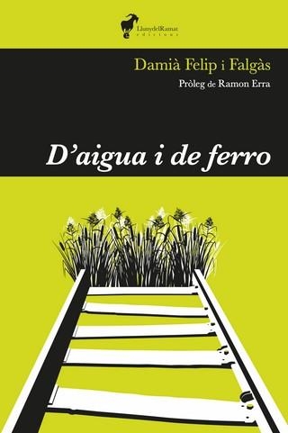 D'AIGUA I DE FERRO | 9788412575255 | DAMIÀ FELIP I FALGÀS