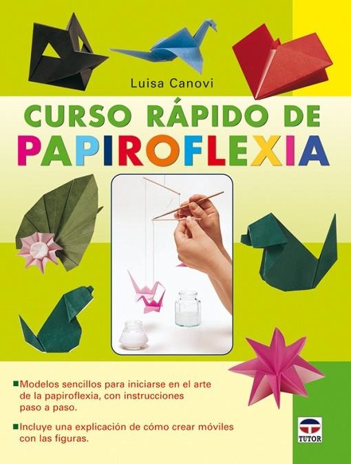 CURSO RAPIDO DE PAPIROFLEXIA | 9788479027704 | CANOVI, LUISA