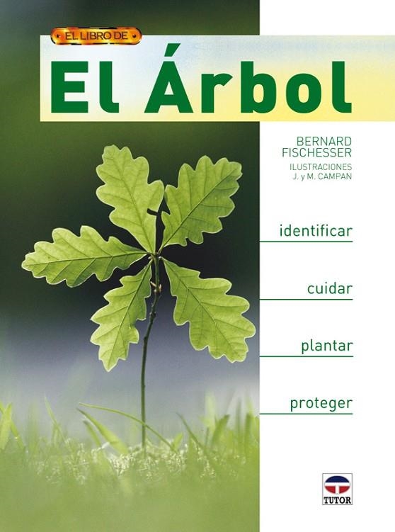 ARBOL, EL | 9788479027834 | FISCHESSER, BERNARD