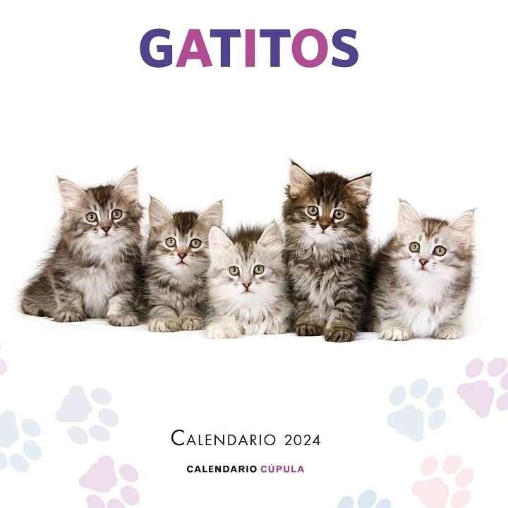 CALENDARIO GATITOS 2024 | 9788448038076 | AA. VV.