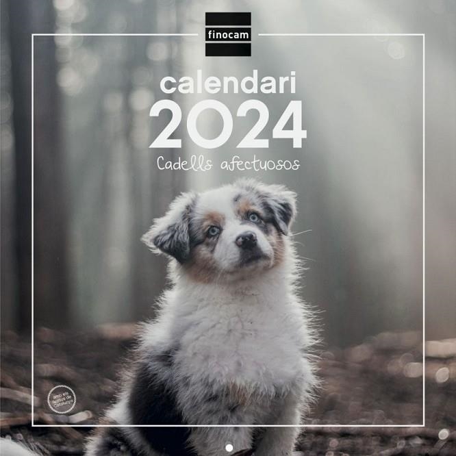 CALENDARI 2024 PARET CADELLS AFECTUOSOS | 8422952371977