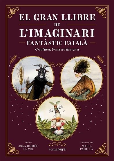 EL GRAN LLIBRE DE L'IMAGINARI FANTÀSTIC CATALÀ | 9788419590558 | PRATS, JOAN DE DÉU / PADILLA, MARIA