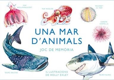 UN MAR D'ANIMALS  | 8425402888759