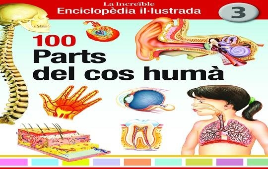 100 PARTS DEL COS HUMÀ | 9788412636291