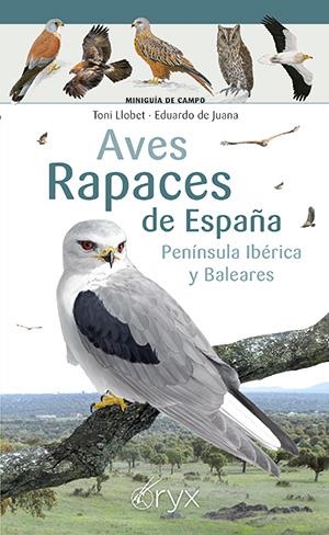 AVES RAPACES DE ESPAÑA, PENÍNSULA IBÉRICA Y BALEARES | 9788418735394 | LLOBET, TONI / DE JUANA, EDUARDO