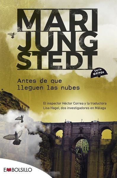 ANTES DE QUE LLEGUEN LAS NUBES | 9788418185632 | JUNGSTEDT, MARI