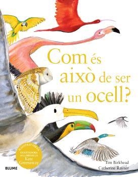 COM ÉS AIXÒ DE SER UN OCELL? | 9788410048102 | BIRKHEAD, TIM / RAYNER, CATHERINE